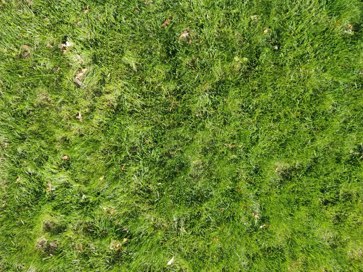 Grüne Farbpalette als Symbol für Ruhe